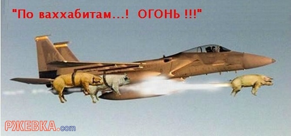 прикол