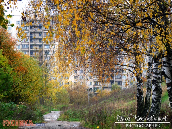 ЗАПОВЕДНЫЕ МЕСТА ЛЕСОПАРКА