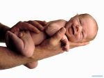 Пособия по беременности, родам и уходу за ребенком до 1,5 лет