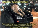 ксюша Абщаг 2