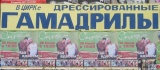 настоящие гамадрилы