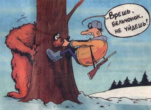 прикольные картинки