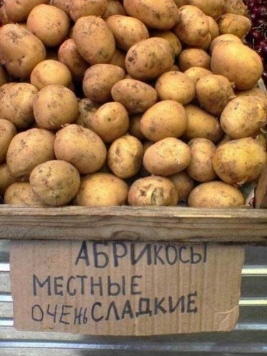 Прикольные картинки, фото приколы