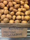 Прикольные картинки, фото приколы