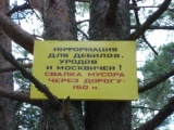 прикольные надписи