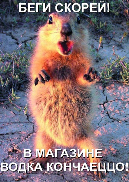 Прикольные картинки - Беги скорей...