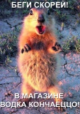 Прикольные картинки - Беги скорей...