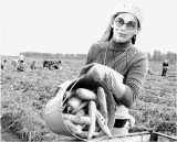 Если звёзд очеловечить :)