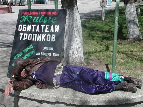 Живые обитатели тропиков