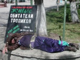 Живые обитатели тропиков