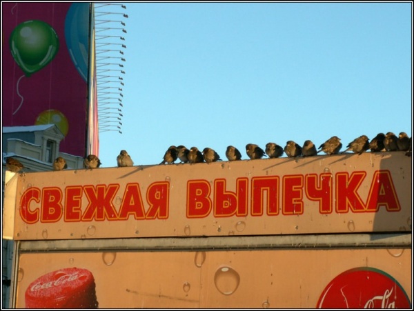 Свежая Выпечка