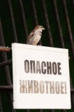 Прикольные надписи