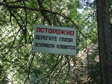 Прикольные надписи