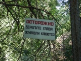 Прикольные надписи