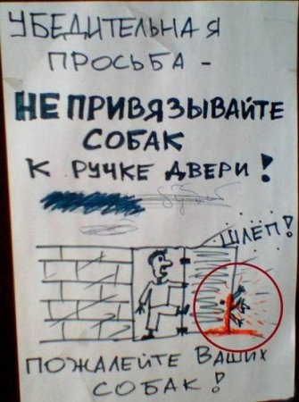 Прикольные картинки