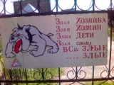 Прикольные картинки