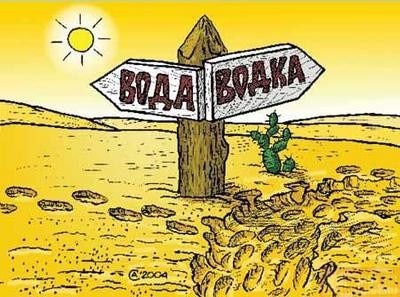 Что же выбрать