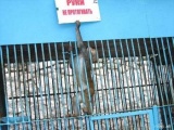 руки не протягивать