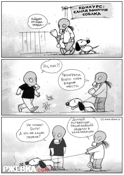 Самая вонючая собака