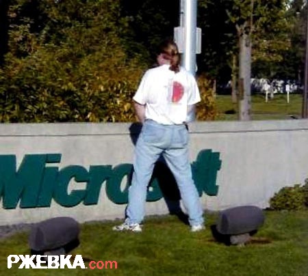 Любовь к Microsoft