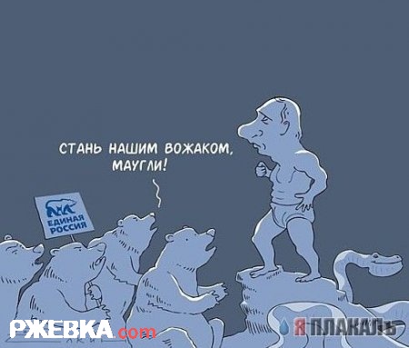 Стань нашим вожаком