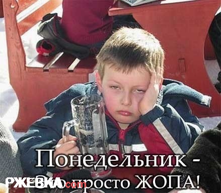 Понедельник это просто жопа