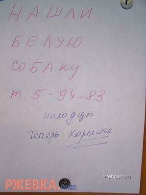 Нашли белую собаку