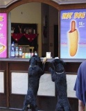 Hot dog