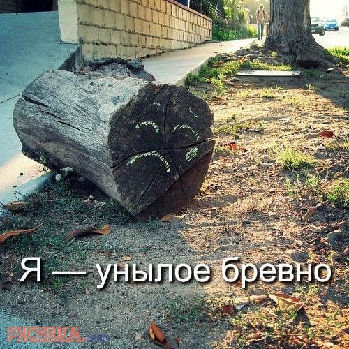 Я - унылое бревно