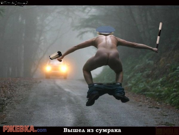 Вышел из сумрака