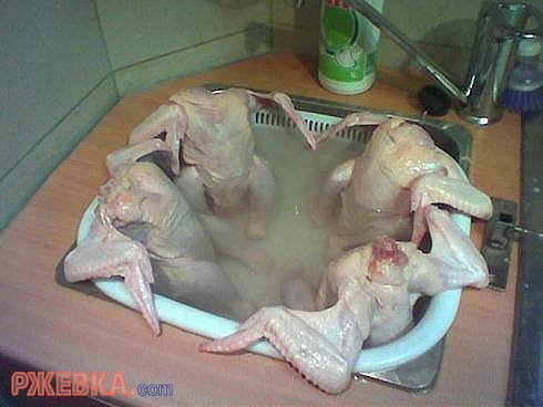 Цыпочки отдыхают