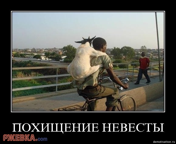 их нравы