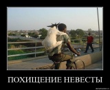их нравы