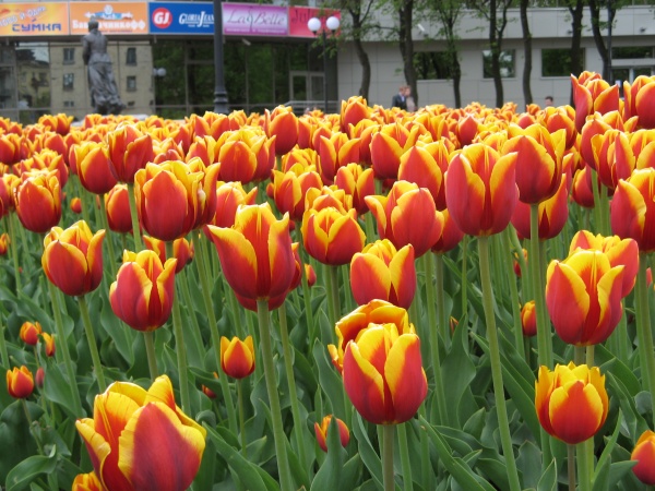 фото2
