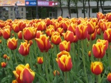 фото2