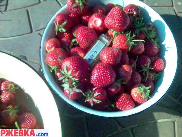 клубника