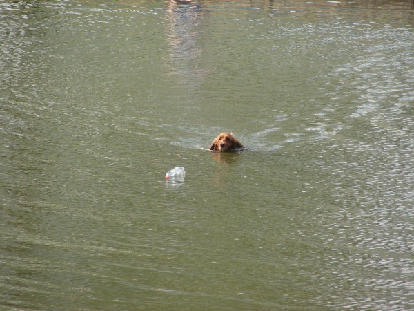 indus