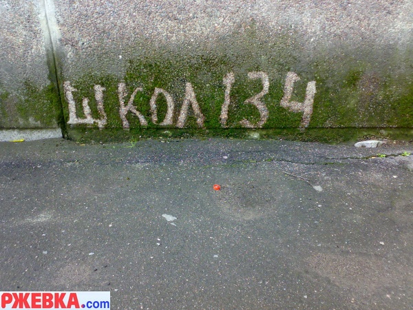 Школа 134