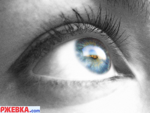 Eye