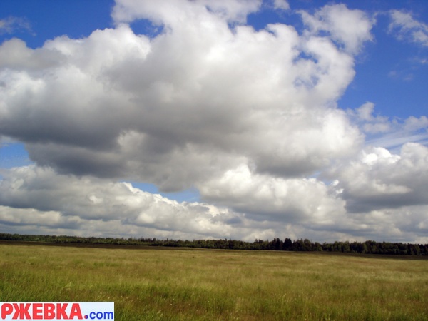 Russian field