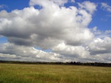 Russian field
