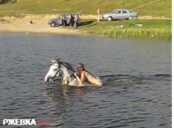 заплыв