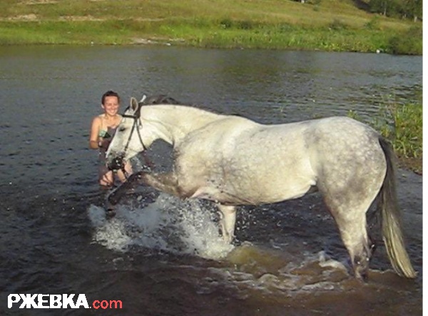 Пуська играет