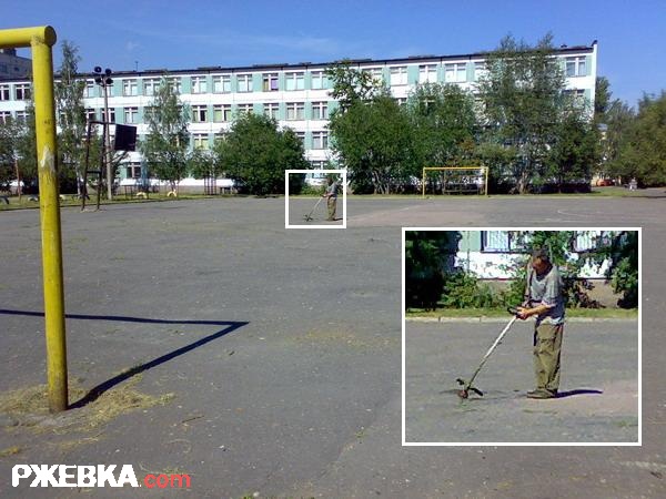 Сенокос на асфальте