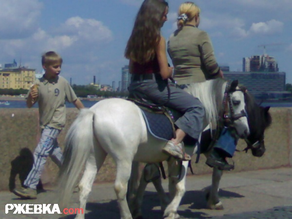 лафадки