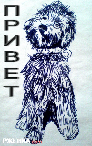 Песя