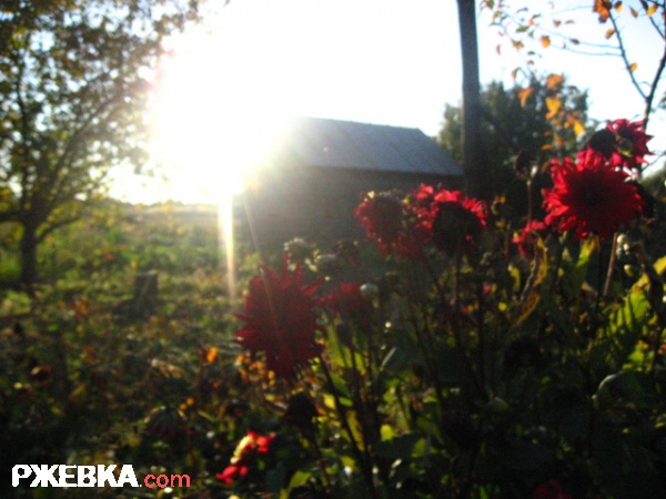 Осенний закат