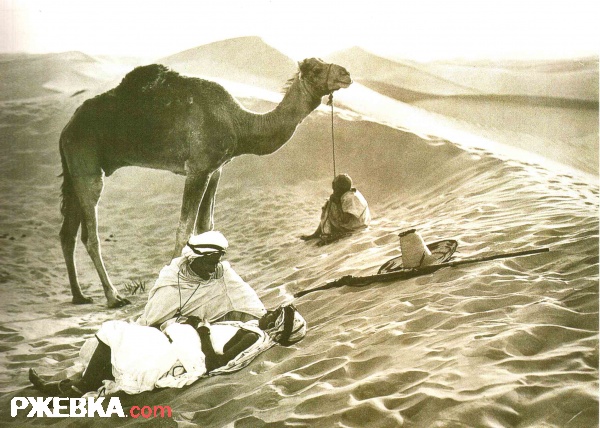 la  Tunisie en 1902