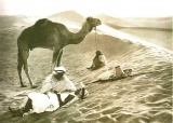 la  Tunisie en 1902