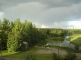 Пруд в лесопарке
